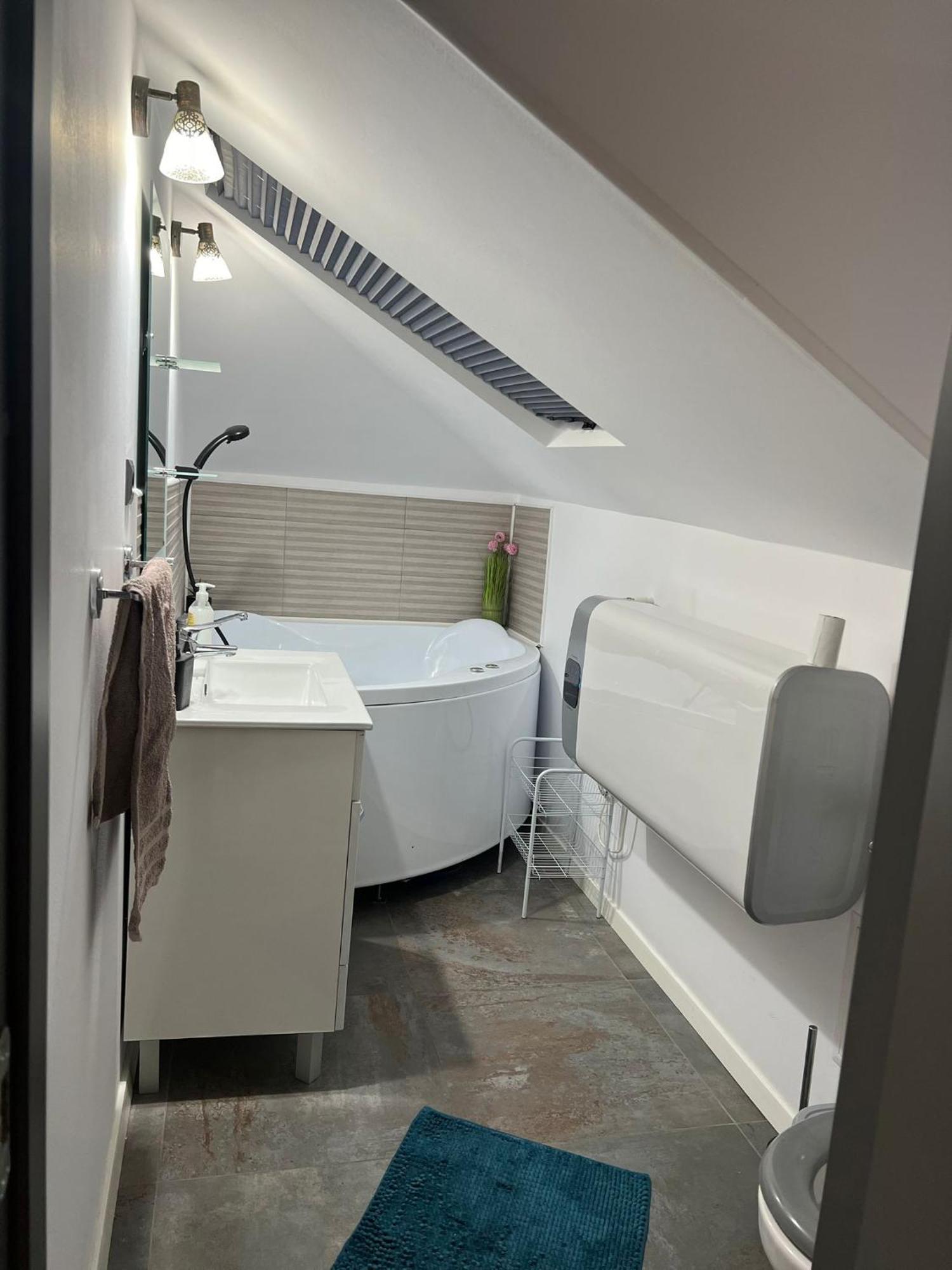Apartament Mansarda Venus Римніку-Вилча Екстер'єр фото